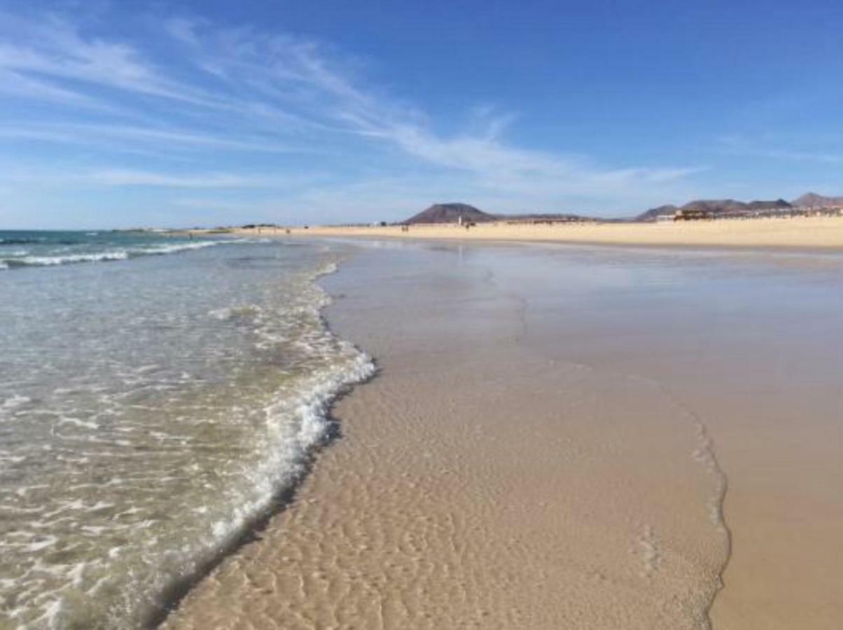 Lima Waikiki Beach Corralejo Extérieur photo